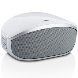 卡农i608 无线蓝牙音箱 多媒体音箱的全能体验与图片赏析